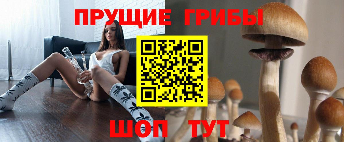 Чусовой  Псилоцибиновые грибы Magic Shrooms  Вход с VPN 