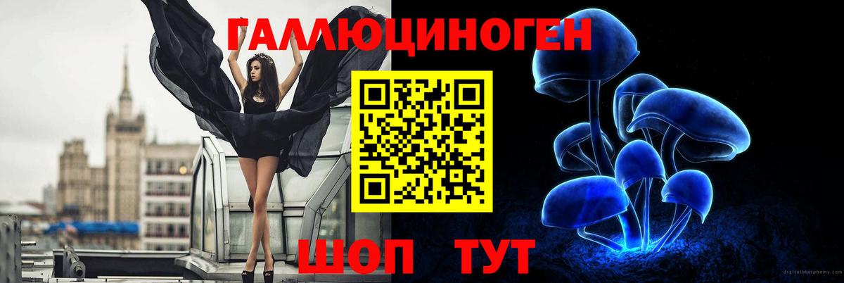 Галлюциногенные грибы Cubensis Чусовой